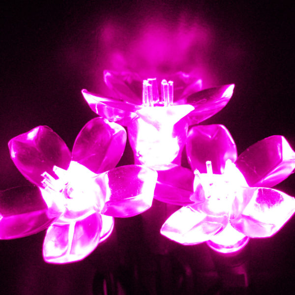 Pink flower-shaped LED light string
